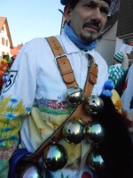 lwkUmzug gerlingen_17_004