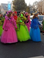 lwkUmzug gerlingen_17_061