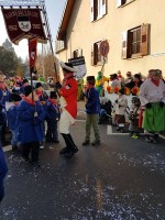 lwkUmzug gerlingen_17_062