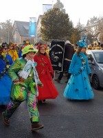 lwkUmzug gerlingen_17_064