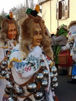 lwkUmzug gerlingen_17_065