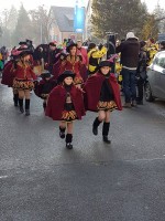 lwkUmzug gerlingen_17_066