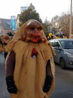 lwkUmzug gerlingen_17_071