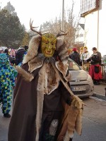 lwkUmzug gerlingen_17_073