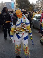 lwkUmzug gerlingen_17_074