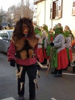 lwkUmzug gerlingen_17_081