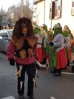 lwkUmzug gerlingen_17_082