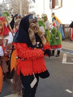 lwkUmzug gerlingen_17_084