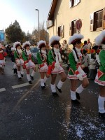 lwkUmzug gerlingen_17_089