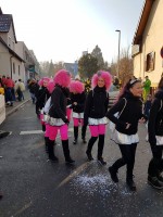 lwkUmzug gerlingen_17_093