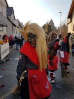 lwkUmzug gerlingen_17_095