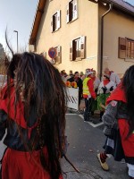 lwkUmzug gerlingen_17_102