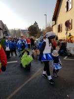 lwkUmzug gerlingen_17_106