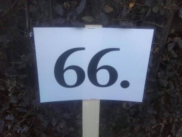 lwkUmzug gerlingen_17_158